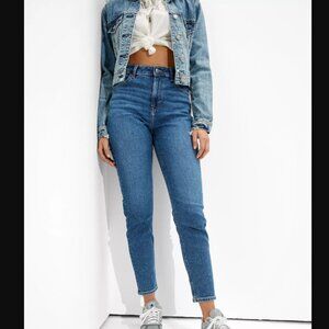 American Eagle Stretch Mom Jeans Size 4XShort
